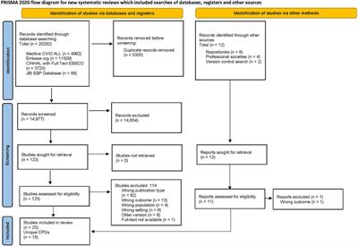 A systematic review of clinical practice guidelines and recommendations for the management of pain, sedation, delirium and iatrogenic withdrawal syndrome in pediatric intensive care